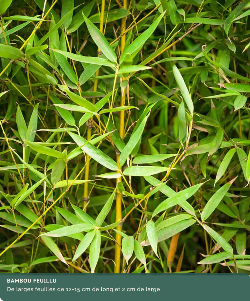 Image du produit 22